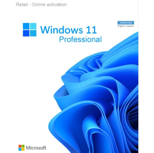 Windows 11 Professional